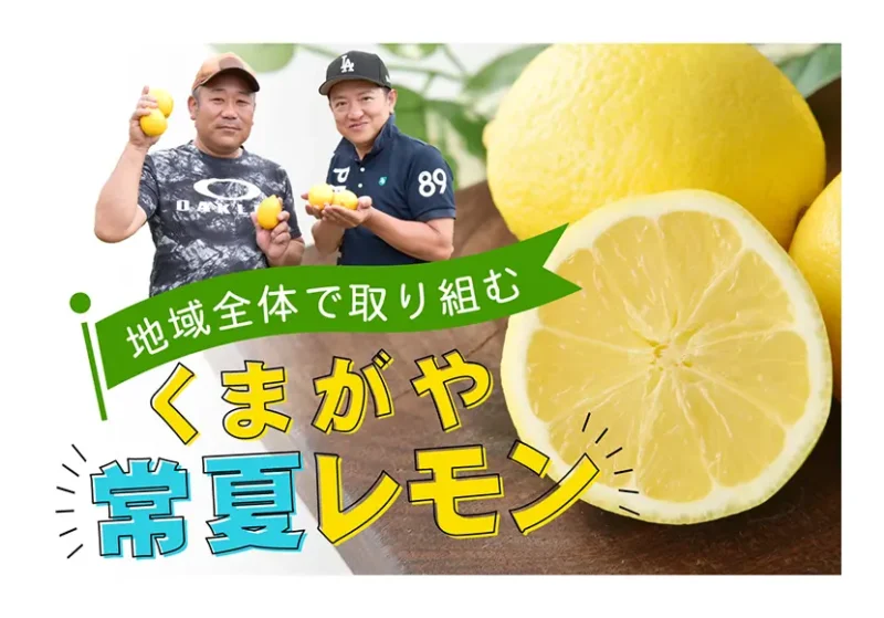 次の記事