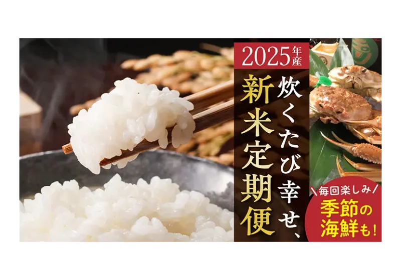 前の記事