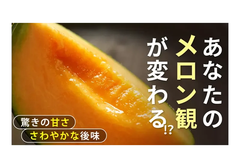 前の記事