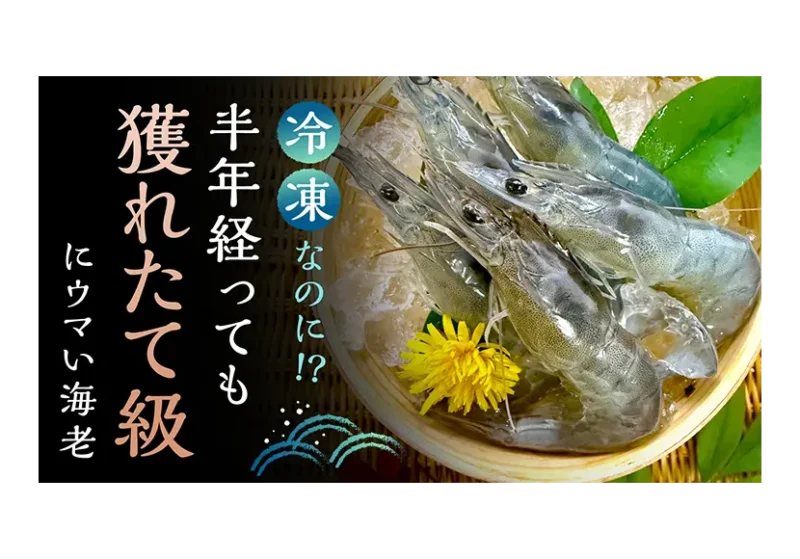 次の記事