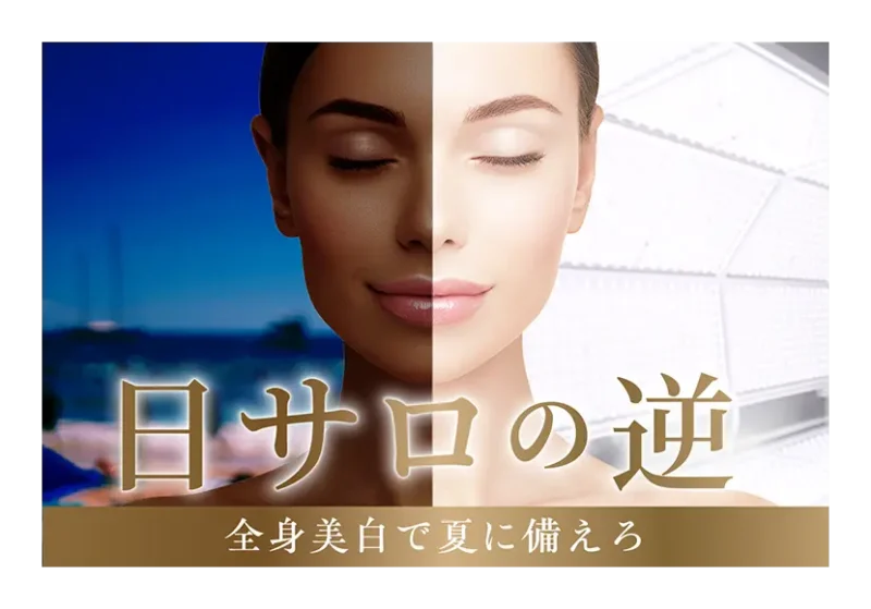 前の記事