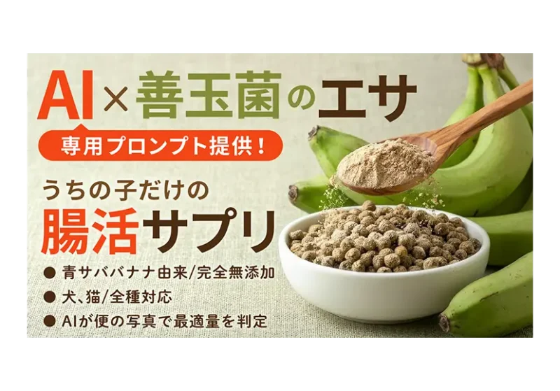 次の記事