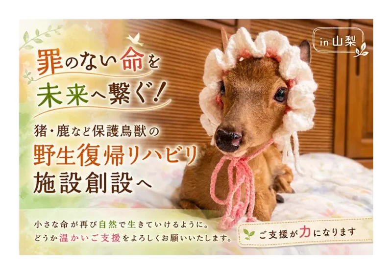 次の記事